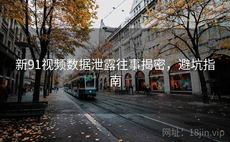 新91视频数据泄露往事揭密,避坑指南 新91视频数据泄露往事揭密,避坑指南