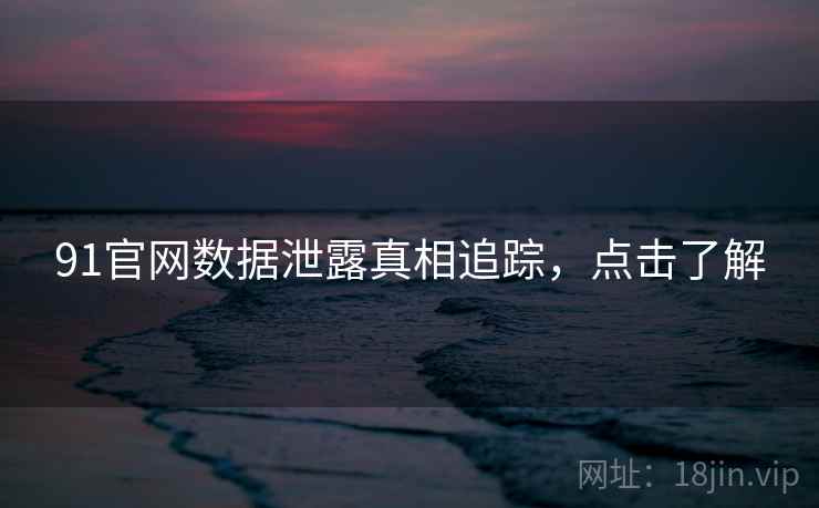 91官网数据泄露真相追踪，点击了解