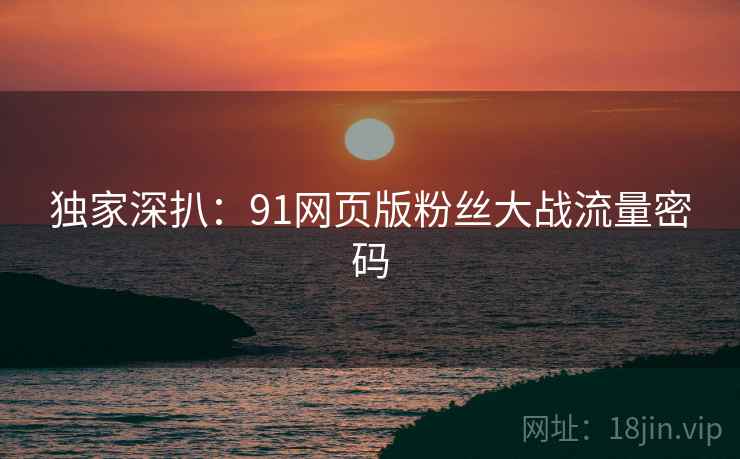 独家深扒：91网页版粉丝大战流量密码