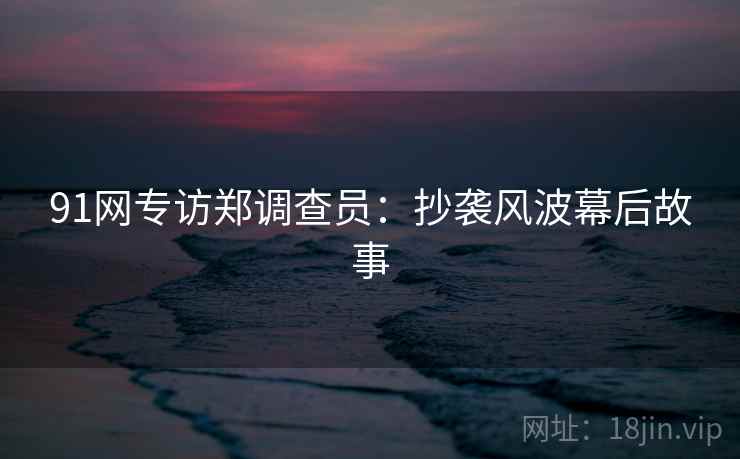 91网专访郑调查员:抄袭风波幕后故事 91网专访郑调查员:抄袭风波幕后故事